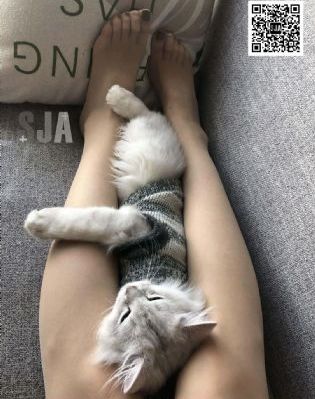 挑战电影