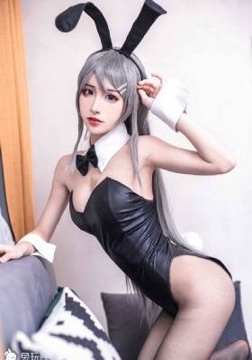 嘟嘟猫观察日记