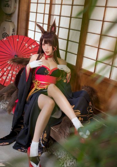 藏药令电视剧免费观看全集