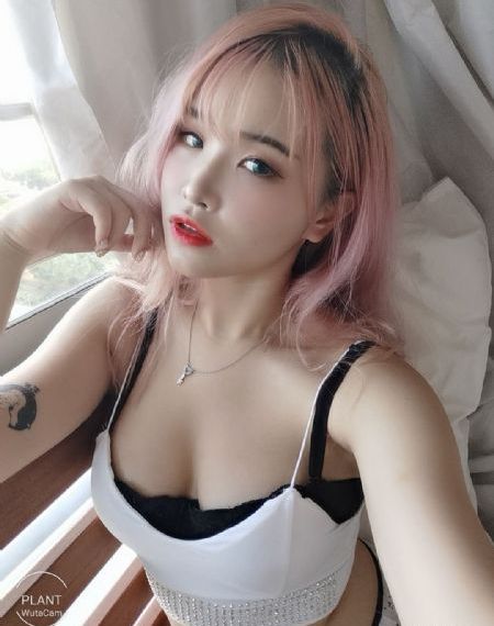 圣祖动漫在线观看免费