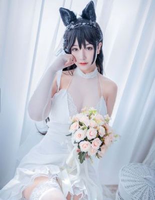 女海盗在线