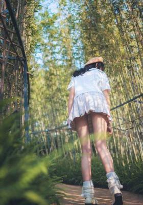 君子好逑